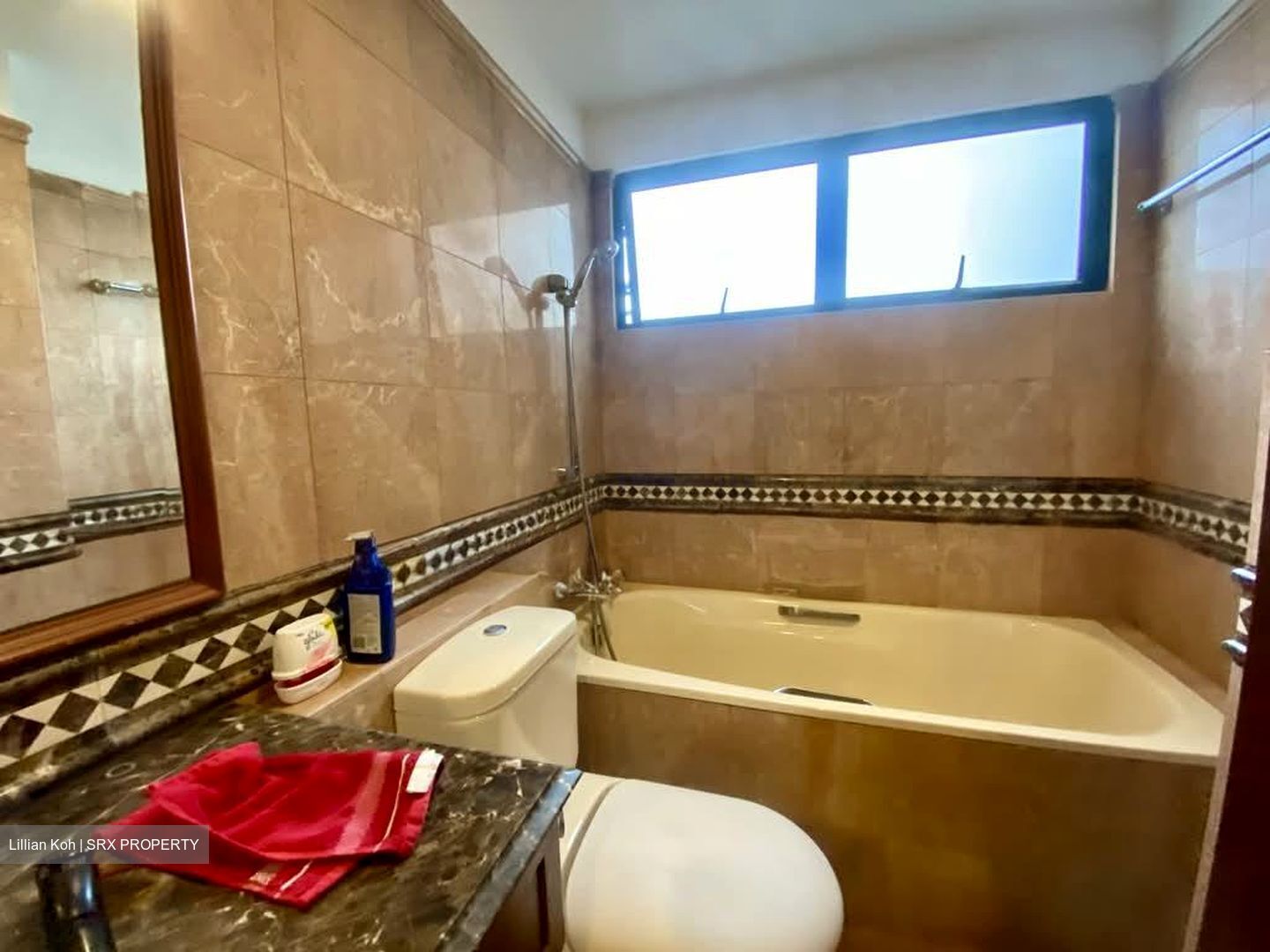 Dover Parkview (D5), Condominium #554423981